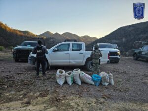 Asegura Operativo una pick up y 7 costales con 44 kilogramos de mariguana