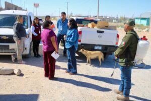 Refuerzan Diputada Jael Argüelles y Ecología fumigación en el kilómetro 29 ante riesgo de rickettsiosis